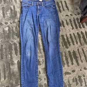J. Crew Women's Skinny Jeans in Blue